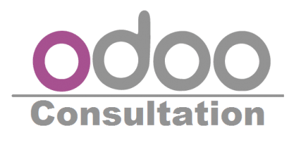 Odoo Support Pack - 100 Hours